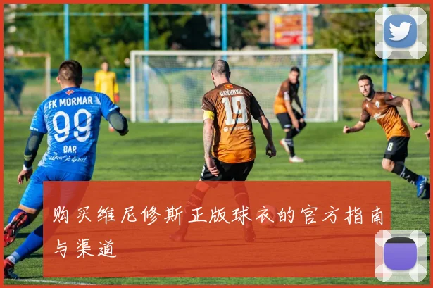 购买维尼修斯正版球衣的官方指南与渠道